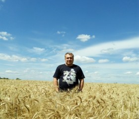 Ed, 52, Kropivnickij