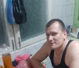 Павел Холодов, 36 лет, Samarqand