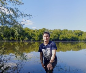 Андрей, 36 лет, Воронеж