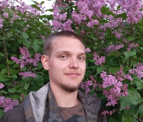 Vladimir, 26, Saint Petersburg