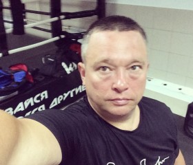 Денис, 44 года, Александров
