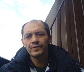 Андрей, 46 лет, Полевской