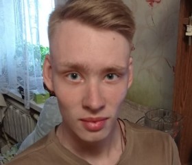 Степан, 21 год, Коломна