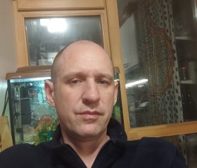Вячеслав, 49 лет, Саров