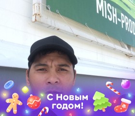 Руфус, 38 лет, Бишкек