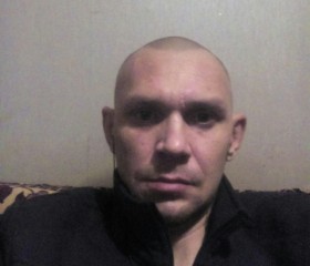 Антон, 40 лет, Ярославль