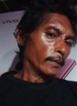 Waluyo, 49 лет, Kota Semarang