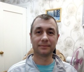 Сергей, 48 лет, Кемля