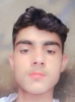 Wajidali, 23 года, فیصل آباد