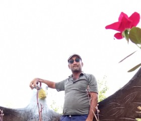 Master, 40, Qarqin