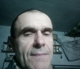 Миша, 58 лет, Берасьце