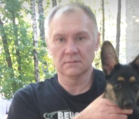Андрей, 51 год, Коломна