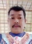Haniyansah, 47 лет, Banjarmasin
