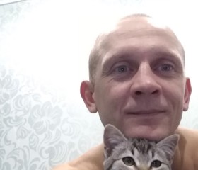 Алексей, 39 лет, Вичуга