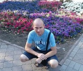 Алексей, 42 года, Ужгород
