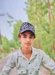 Sahran salmani, 19 лет, Jalandhar