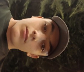 ჯულაბერა, 18, Telavi
