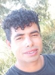 Alexxandrearaujo, 33 года, Sidrolândia