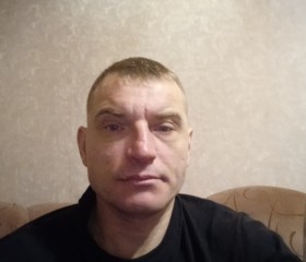 Владимир, 44 года, Котовск