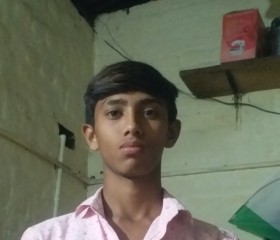 Vanrajvamlk, 18 лет, Ahmedabad