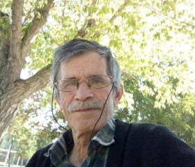 Mustafa, 66, Eregli (Konya)