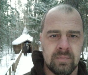 Глеб, 43 года, Санкт-Петербург