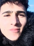 Mohammad ali, 20 лет, ماطر