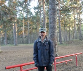 Василий Брусянин, 52 года, Челябинск