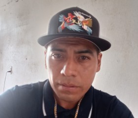 Daniel, 25 лет, Santiago de Querétaro