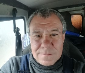 Альберт, 51 год, Нижнекамск