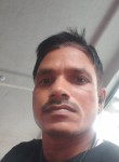 Vinod singh, 35 лет, Nagpur