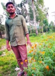 ASHADUL, 27 лет, কুমিল্লা