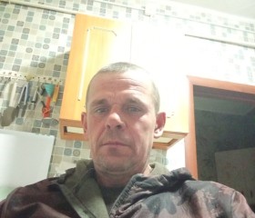 Владимир, 44 года, Исилькуль