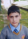 Malik yasir, 18 лет, Srinagar (Jammu and Kashmir)