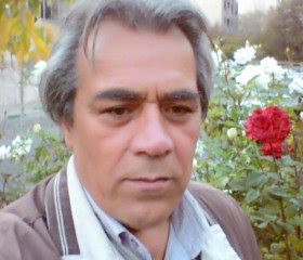 طاهر, 59 лет, تِهران