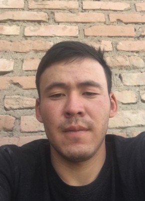 Шон Олжа, 30, Romania, Hunedoara