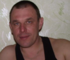Дмитрий, 53 года, Шуя