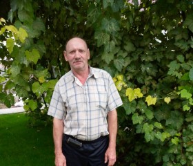 Андрей, 60 лет, Белая Глина