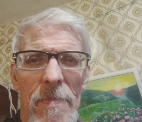 Sergey, 64, Novosibirsk