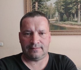 Алексей, 46 лет, Клин