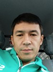 Тимур, 31 год, Toshkent