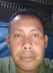 Arfan Alfarezer, 33 года, Kota Depok