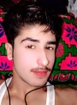 Sardar Ali, 19 лет, پشاور