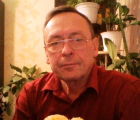 Владислав Свинцов, 70 лет, Йошкар-Ола