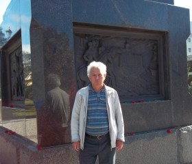 Антон, 63 года, Челябинск