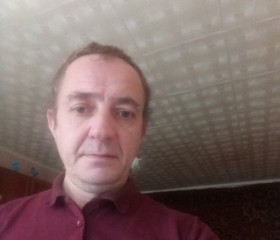 Виталий Борисов, 49 лет, Сергиев Посад