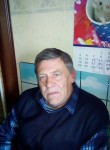 Миша, 68 лет, Гатчина