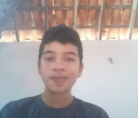 Vitor gamer, 19 лет, Santa Quitéria do Maranhão