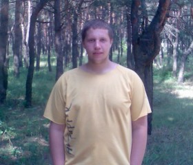 Василий, 33 года, Курчатов