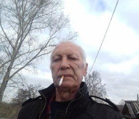 Александр, 64 года, Киселевск